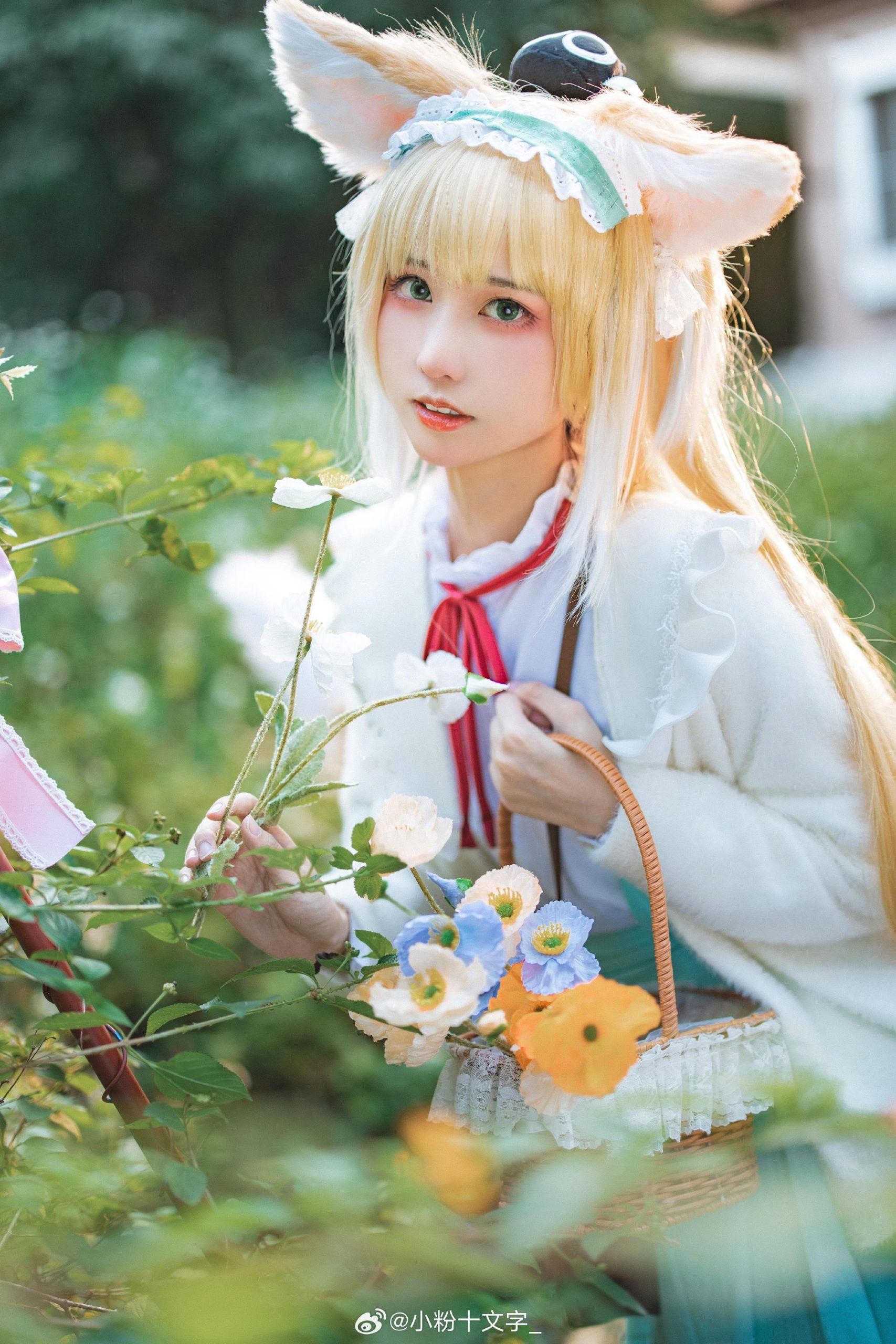 COSPLAY 「铃兰 春之颂」 明日方舟 铃兰@小粉十文字_-次星岛
