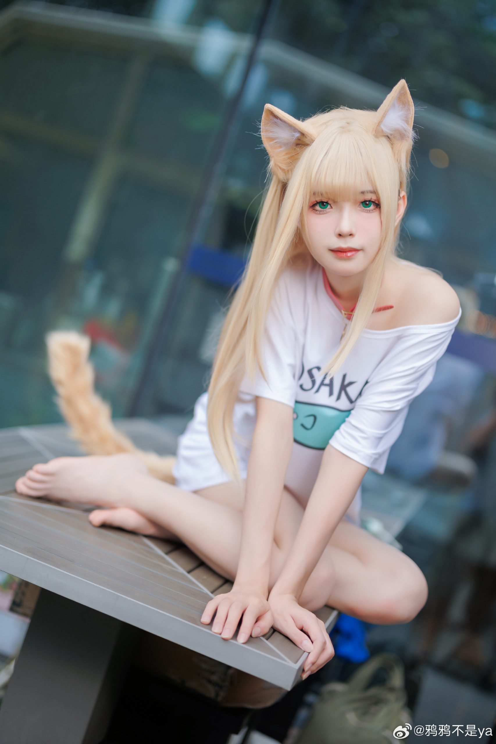 猫娘 黄豆粉@鸦鸦不是ya-次星岛