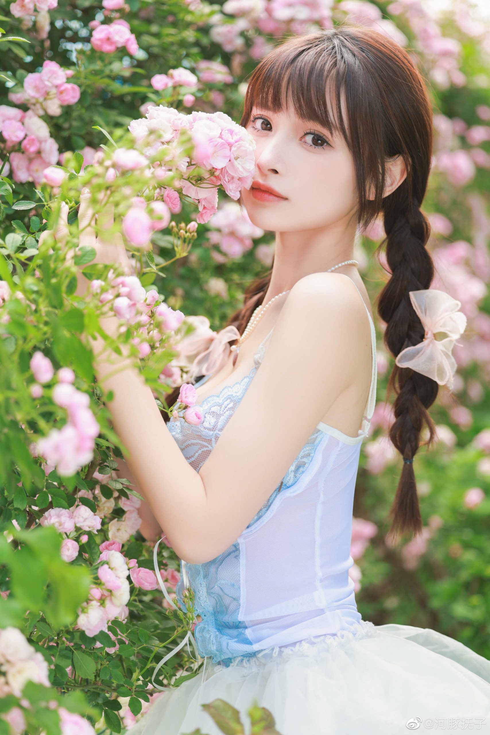少女写真 五月的鲜花@河豚抚子-次星岛